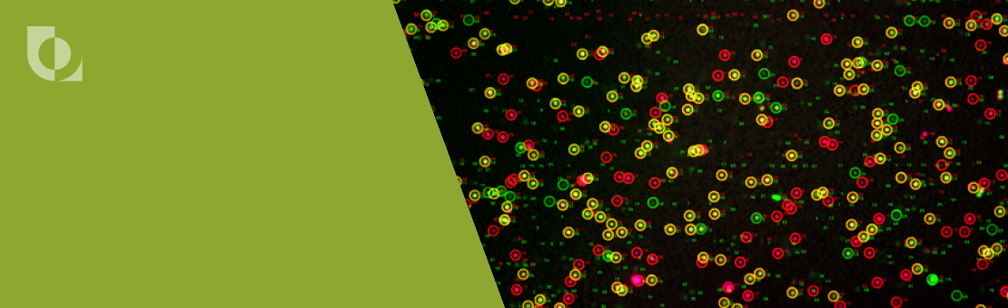 Real-time image processing at video rates enables image-based cytometry in flow.